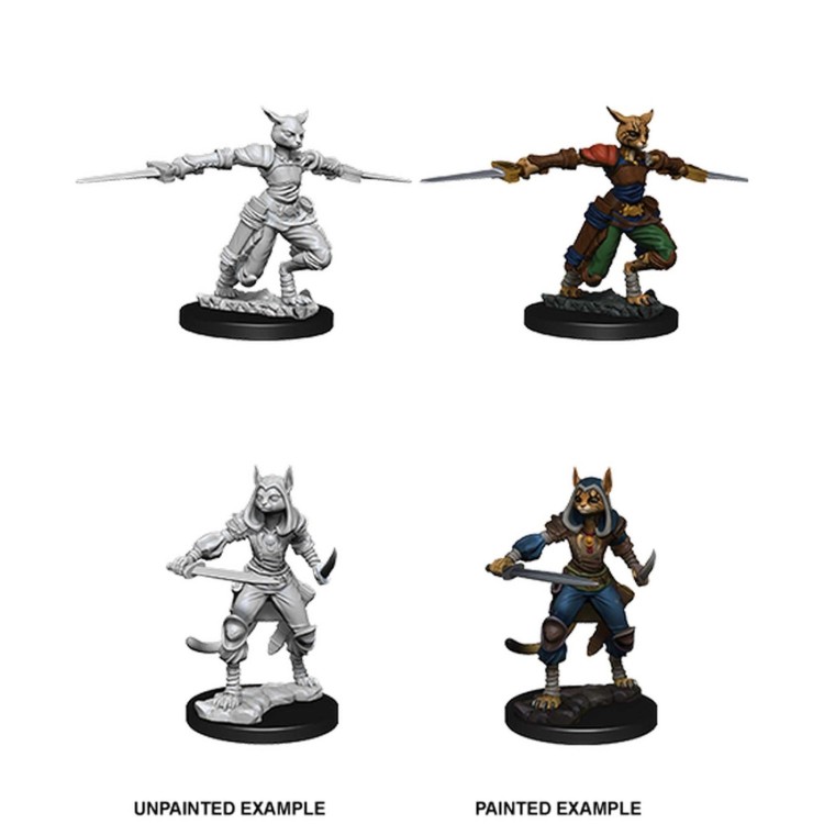 D&D Nolzurs Marvelous Unpainted Miniatures Female Tabaxi Rogue