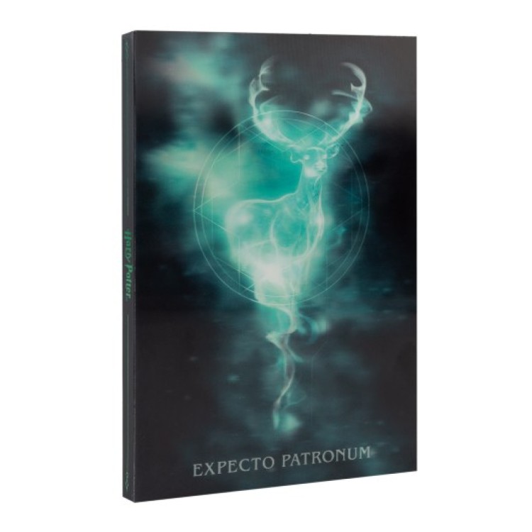 Harry Potter Lenticular A5 Notebook